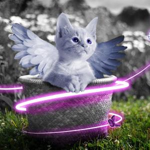 美女露奶头不遮掩视频软件
